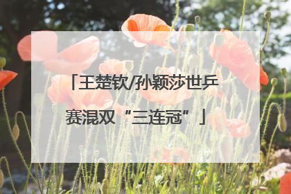 王楚钦/孙颖莎世乒赛混双“三连冠”