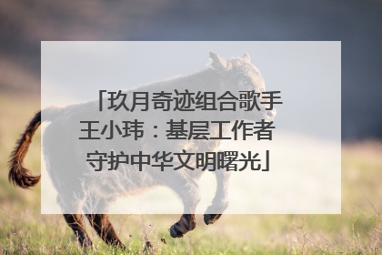 玖月奇迹组合歌手王小玮：基层工作者守护中华文明曙光