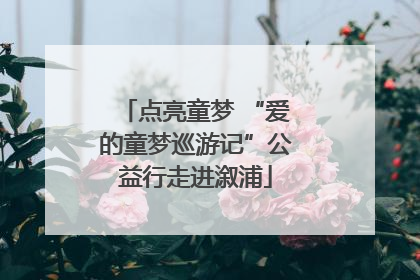 点亮童梦 “爱的童梦巡游记”公益行走进溆浦