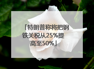 特朗普称将把钢铁关税从25%提高至50%