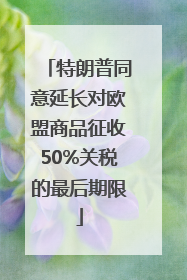 特朗普同意延长对欧盟商品征收50%关税的最后期限