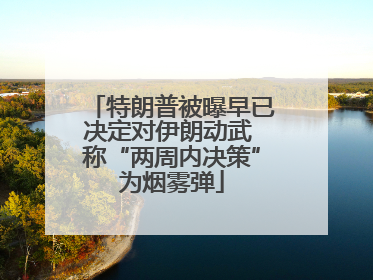 特朗普被曝早已决定对伊朗动武 称“两周内决策”为烟雾弹