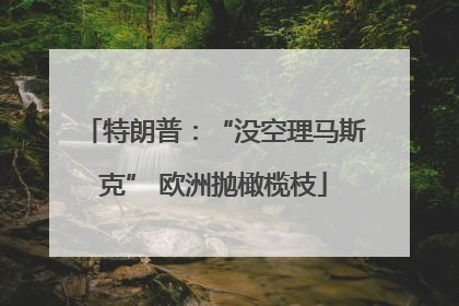 特朗普：“没空理马斯克” 欧洲抛橄榄枝