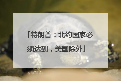 特朗普：北约国家必须达到，美国除外