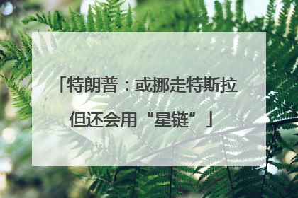 特朗普：或挪走特斯拉 但还会用“星链”