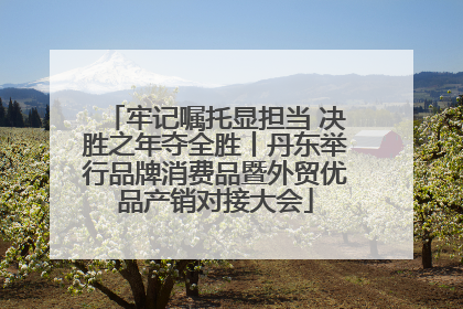 牢记嘱托显担当 决胜之年夺全胜丨丹东举行品牌消费品暨外贸优品产销对接大会