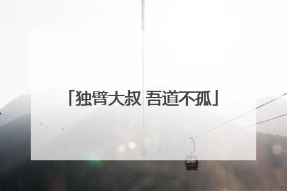 独臂大叔 吾道不孤