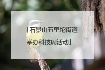 石景山五里坨街道举办科技周活动