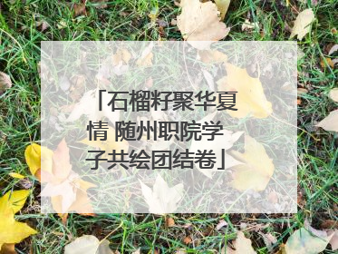 石榴籽聚华夏情 随州职院学子共绘团结卷