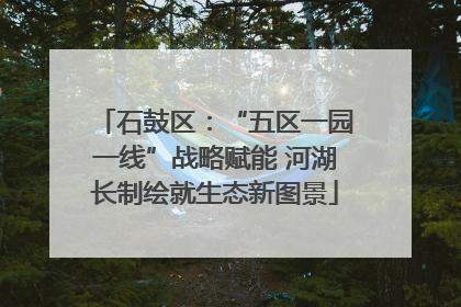 石鼓区：“五区一园一线”战略赋能 河湖长制绘就生态新图景