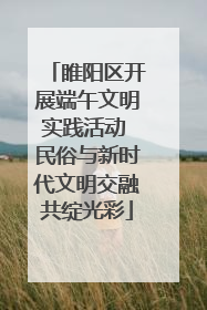 睢阳区开展端午文明实践活动 民俗与新时代文明交融共绽光彩