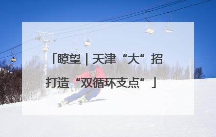 瞭望｜天津“大”招打造“双循环支点”
