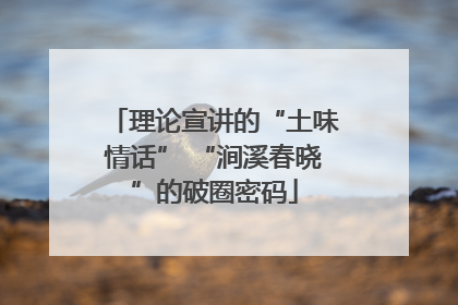 理论宣讲的“土味情话” “涧溪春晓”的破圈密码
