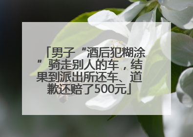 男子“酒后犯糊涂”骑走别人的车，结果到派出所还车、道歉还赔了500元
