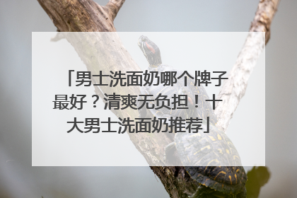 男士洗面奶哪个牌子最好？清爽无负担！十大男士洗面奶推荐