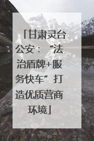 甘肃灵台公安：“法治盾牌+服务快车”打造优质营商环境