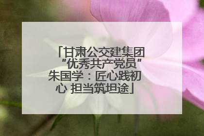 甘肃公交建集团“优秀共产党员”朱国学：匠心践初心 担当筑坦途