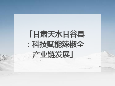 甘肃天水甘谷县：科技赋能辣椒全产业链发展