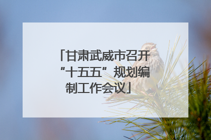 甘肃武威市召开“十五五”规划编制工作会议