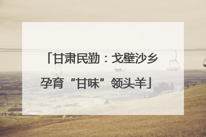 甘肃民勤：戈壁沙乡孕育“甘味”领头羊