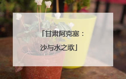 甘肃阿克塞：沙与水之歌