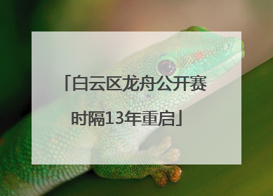 白云区龙舟公开赛时隔13年重启