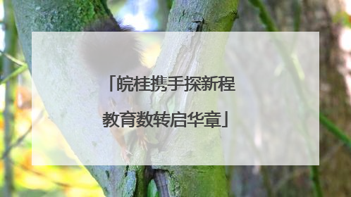 皖桂携手探新程 教育数转启华章