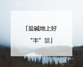 盐碱地上好“丰”景