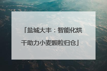 盐城大丰：智能化烘干助力小麦颗粒归仓