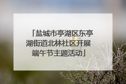 盐城市亭湖区东亭湖街道北林社区开展端午节主题活动