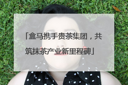 盒马携手贵茶集团，共筑抹茶产业新里程碑