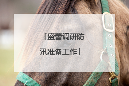 盛蕾调研防汛准备工作