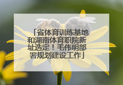 省体育训练基地和湖南体育职院新址选定！毛伟明部署规划建设工作