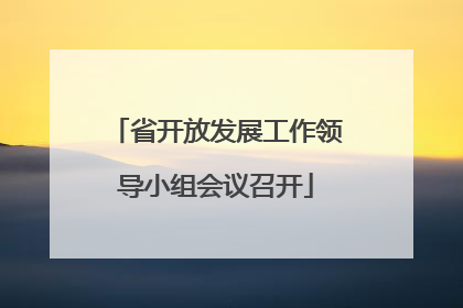 省开放发展工作领导小组会议召开
