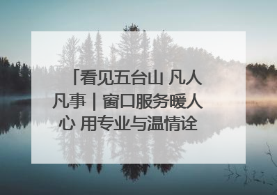 看见五台山 凡人凡事｜窗口服务暖人心 用专业与温情诠释责任担当