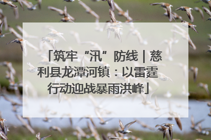 筑牢“汛”防线｜慈利县龙潭河镇：以雷霆行动迎战暴雨洪峰