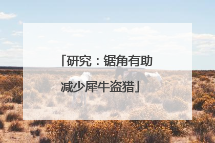 研究：锯角有助减少犀牛盗猎
