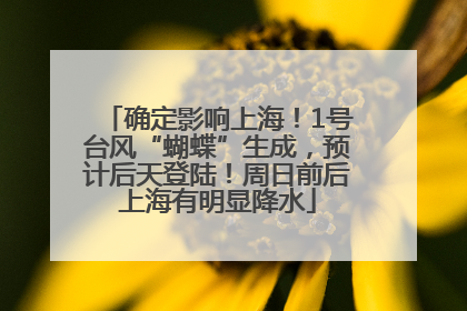 确定影响上海！1号台风“蝴蝶”生成，预计后天登陆！周日前后上海有明显降水