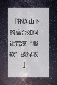 祁连山下的高台如何让荒漠“服软”披绿衣