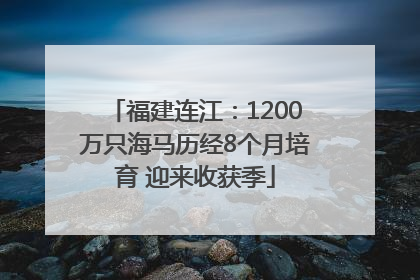 福建连江：1200万只海马历经8个月培育 迎来收获季