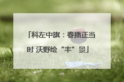 科左中旗：春播正当时 沃野绘“丰”景