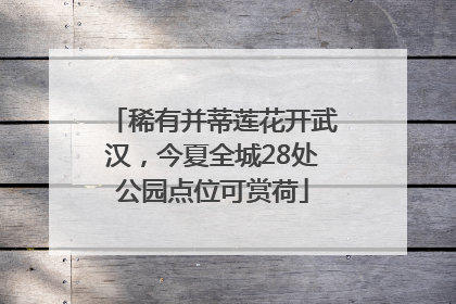 稀有并蒂莲花开武汉，今夏全城28处公园点位可赏荷