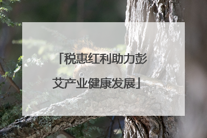 税惠红利助力彭艾产业健康发展