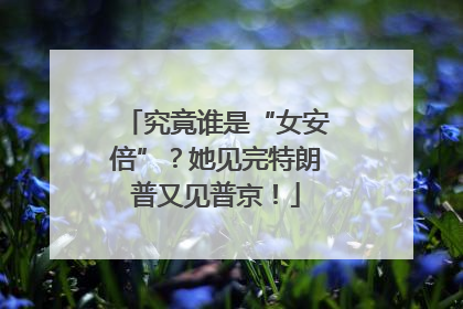 究竟谁是“女安倍”？她见完特朗普又见普京！