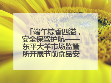 端午粽香四溢，安全保驾护航——东平大羊市场监管所开展节前食品安全专项检查