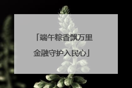 端午粽香飘万里 金融守护入民心