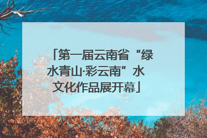 第一届云南省“绿水青山·彩云南”水文化作品展开幕