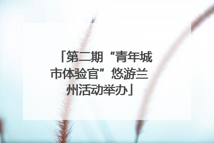 第二期“青年城市体验官”悠游兰州活动举办