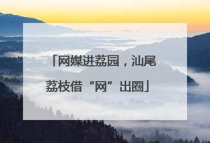 网媒进荔园，汕尾荔枝借“网”出圈