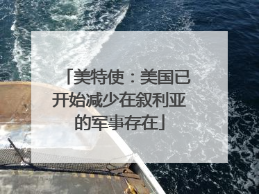 美特使：美国已开始减少在叙利亚的军事存在